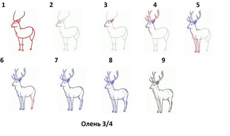 Намальований олень