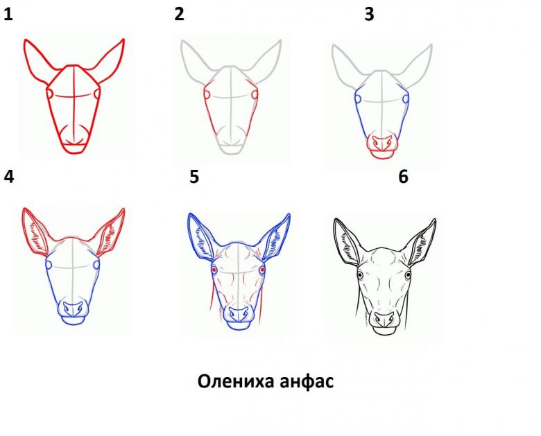 Намальований олень