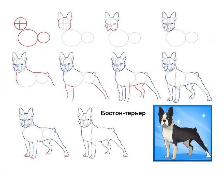 Намальований собака