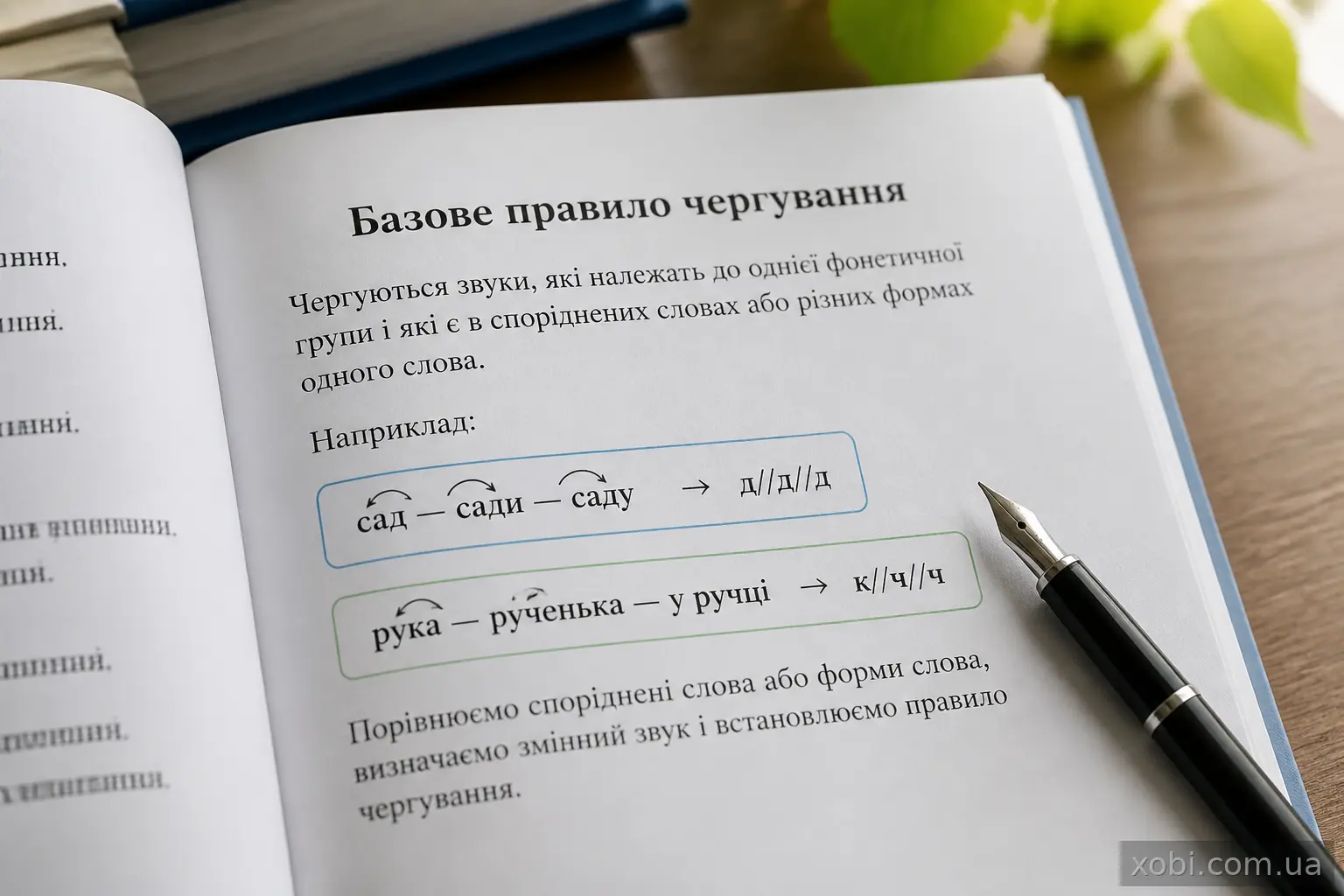 Розкритий підручник української мови з ручкою на сторінці